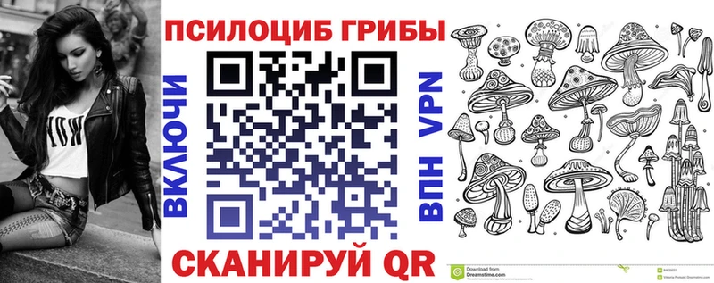что такое наркотик  Вязники  Псилоцибиновые грибы Psilocybe 